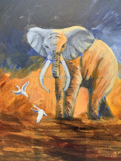 Elephant Demo - The Matriarch