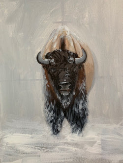 Bison Demo - North American Bison Study #6