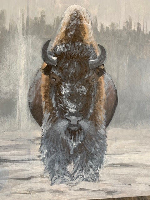 Bison Demo - North American Bison Study #3