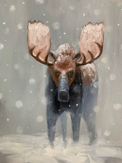 Moose Demo - Winter Moose Study #1