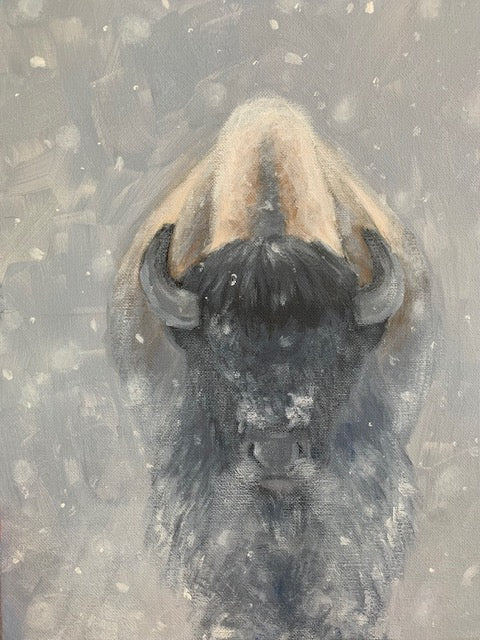 Bison Demo - North American Bison Study #2