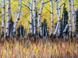 Landscape - Fall Aspens #1