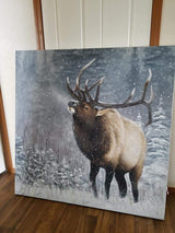 Emperor of the Woods - Limited Edition Canvas Giclee Print