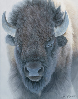 Bison Portrait Study - Study - Oil on Canvas