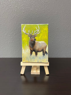 Elk - Mini - Oil on Canvas
