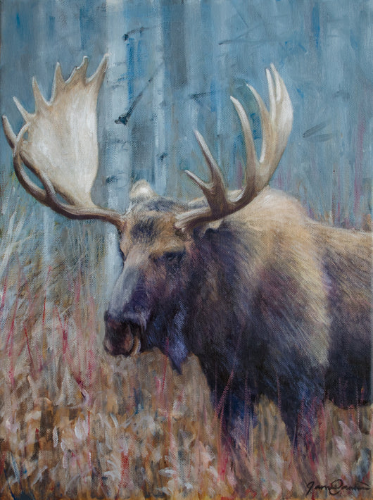 Fall Moose Study - Open Edition Canvas Giclee Print