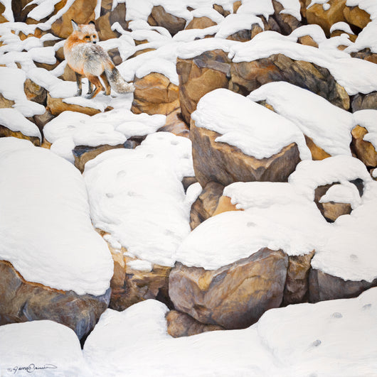 Fox in Rocks - Oil on Canvas