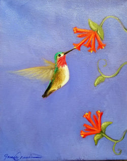 Hummingbird Study - Oil on Canvas