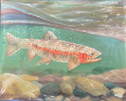 Trout Study - Oil on Canvas