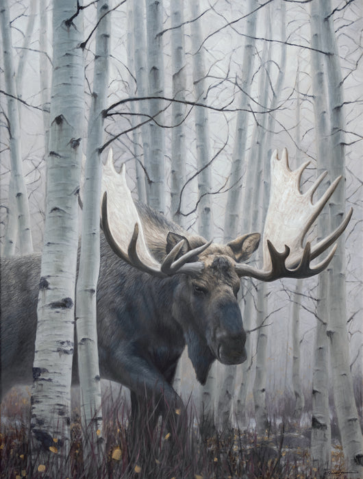 Out of the Woods II - Limited Edition Canvas Giclee Print