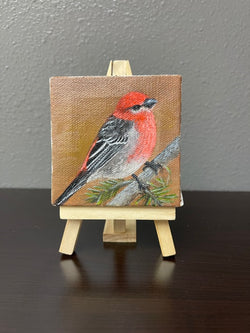 Pine Grosbeak - Mini - Oil on Canvas