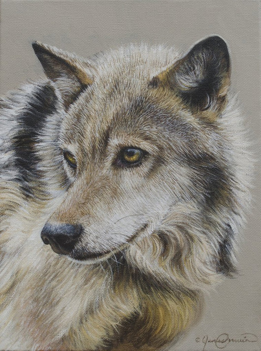 Portrait of a Wolf - Open Edition