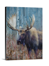 Fall Moose Study - Open Edition Canvas Giclee Print