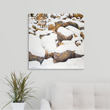 Fox in Rocks - Limited Edition Canvas Giclee Print