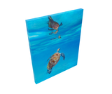 Sea Jewel - Limited Edition Canvas Giclee Print