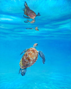 Sea Jewel - Limited Edition Canvas Giclee Print