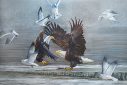 The Last Scrap - Eagles and Gulls -  Oil on canvas - SOLD