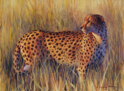 The Last Light - Limited Edition Canvas Giclee Print