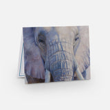 Elephant Notecard Pack