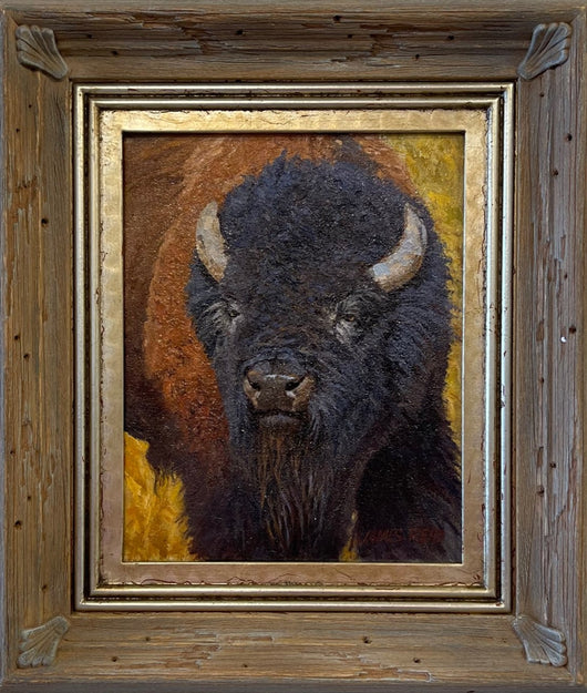 Bison Bull Up Close - Original Oil on Linen