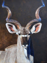 Greater Kudu - Limited Edition Canvas Giclee Print