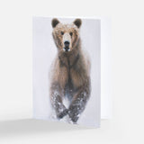Bear Notecard Pack