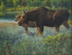 Moose Cow with Calf - Original Oil on Linen