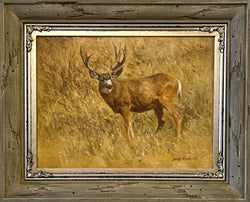 Mule Deer Buck - Oil on Linen