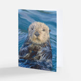 Aquatic Animal Notecard Pack